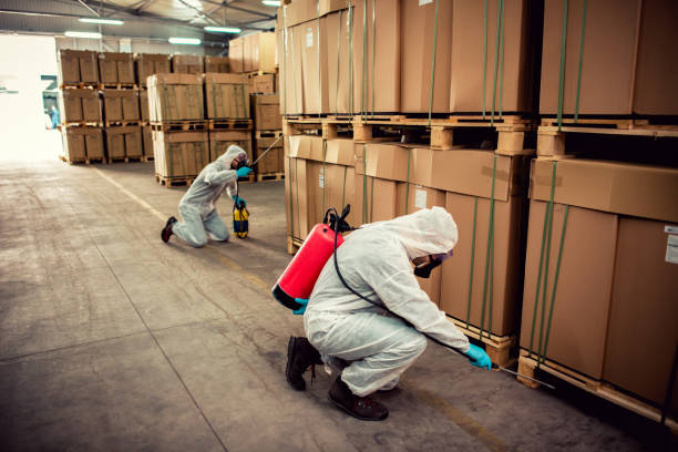 Best Best Pest Control Companies  in Sansom Park, TX