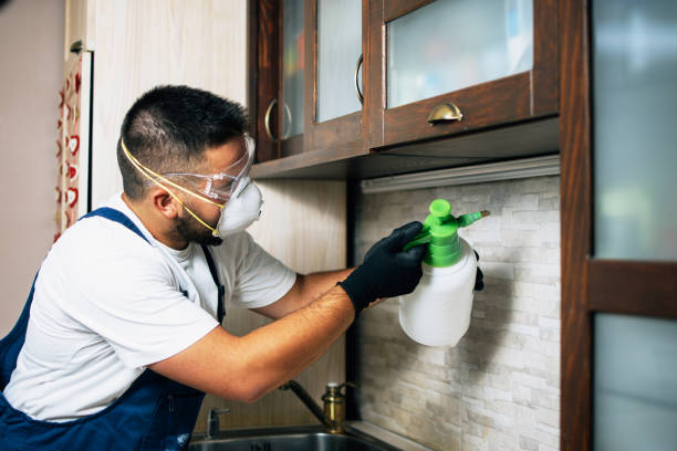 Best Pest Prevention Services  in Sansom Park, TX
