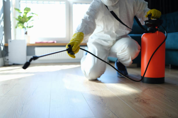 Best Local Pest Control Services  in Sansom Park, TX