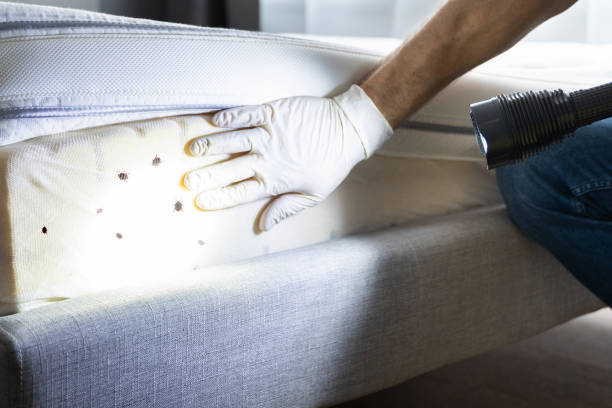 Best Pest Inspection Near Me  in Sansom Park, TX