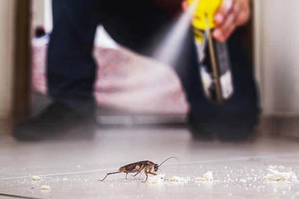 Trusted Sansom Park, TX Pest Control Experts
